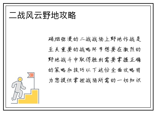 二战风云野地攻略